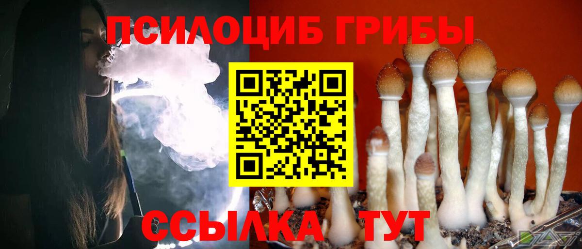 Верхний Уфалей  Псилоцибиновые грибы MAGIC MUSHROOMS  Вход с VPN  Псилоцибиновые грибы MAGIC MUSHROOMS 